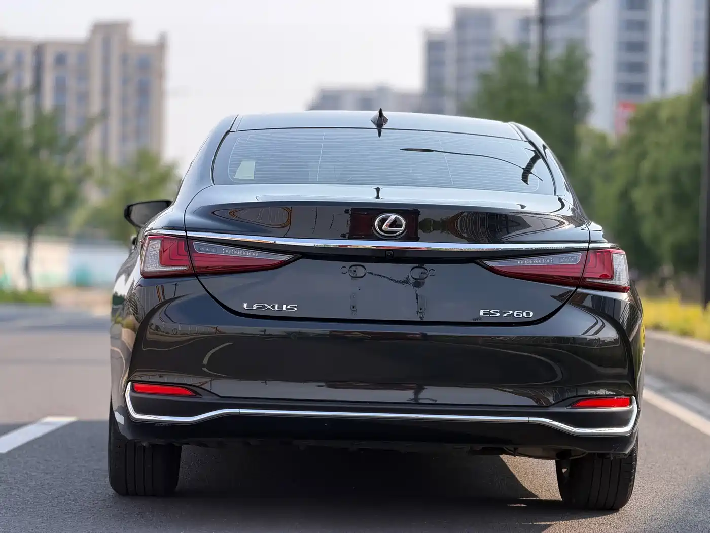 Lexus ES 2024 200 Premium Edition фото 8