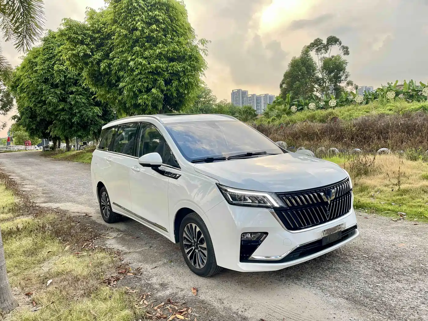 Wuling Motors Wuling Jiachen 2023 2022 1.5T CVT Exclusive Flagship Model