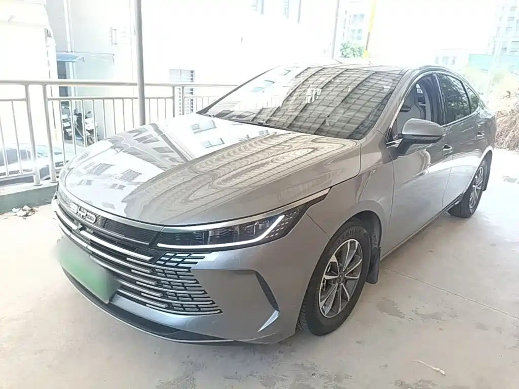 2025 BYD Destroyer 05