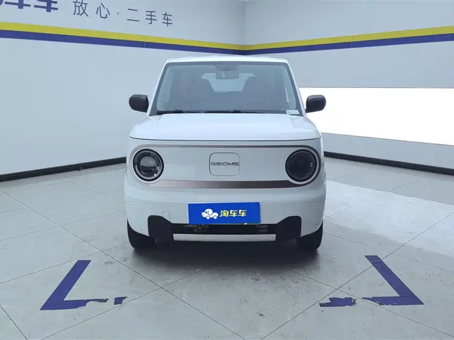 Geely Galaxy Panda 2023 Panda Mini 200km Endurance Bear фото 2
