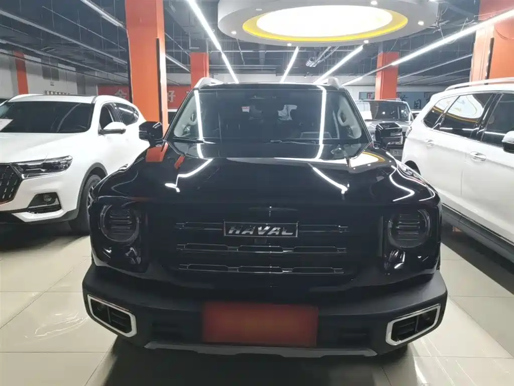 Haval Big Dog 2022 1.5T DCT FWD Border Collie Edition фото 3