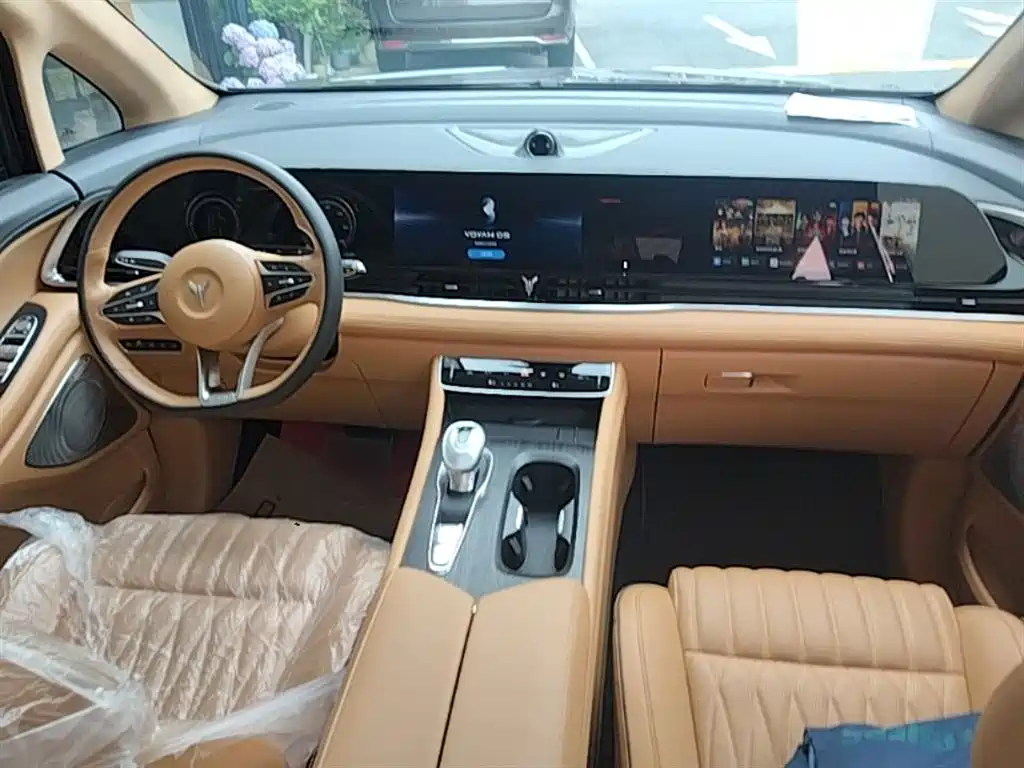 Voyah Auto Voyah Dreamer 2024 PHEV Extended Range Flagship Edition фото 10