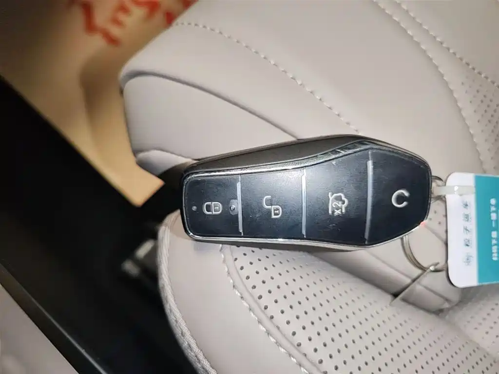 BYD Tang New Energy 2025 Smart Driving Edition DM-i 115KM Flagship фото 9