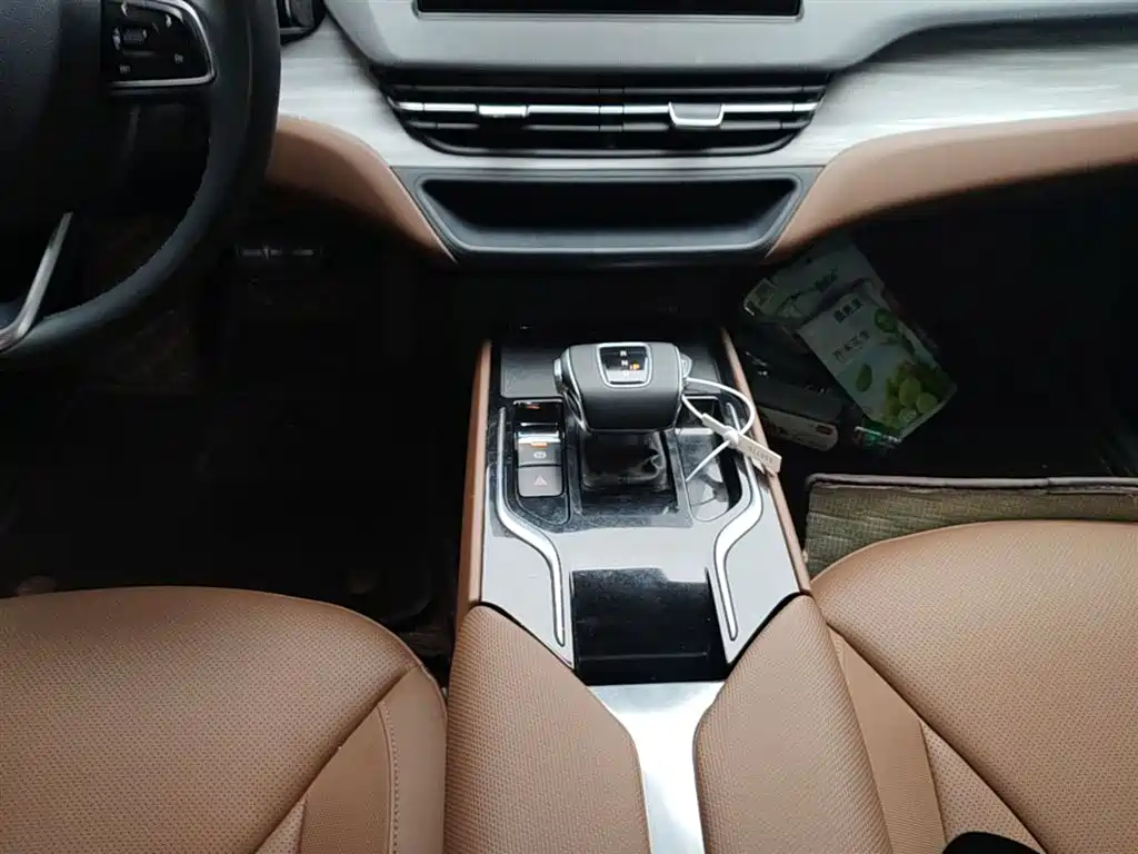 Hongqi E-QM5 2024 Model 610km PLUS фото 14
