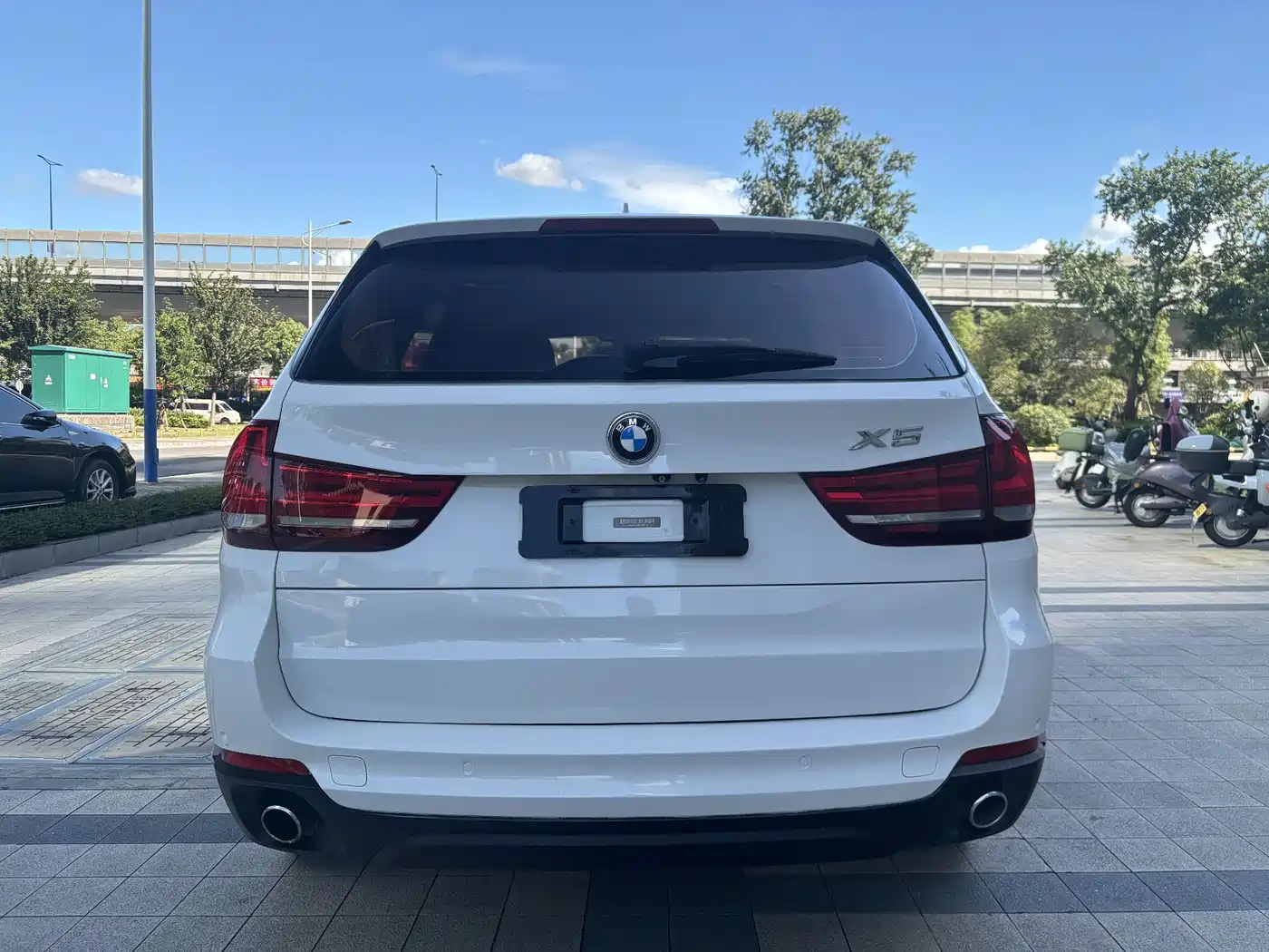 BMW X5 (Import) 2014 xDrive35i Elegance фото 7