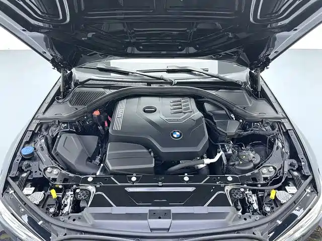 BMW 3 Series 2021 320Li M Sport Package фото 17