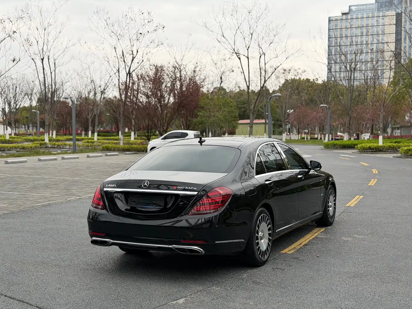 Mercedes-Benz S-Class 2020 S 350 L Business Edition Collector's Version фото 13