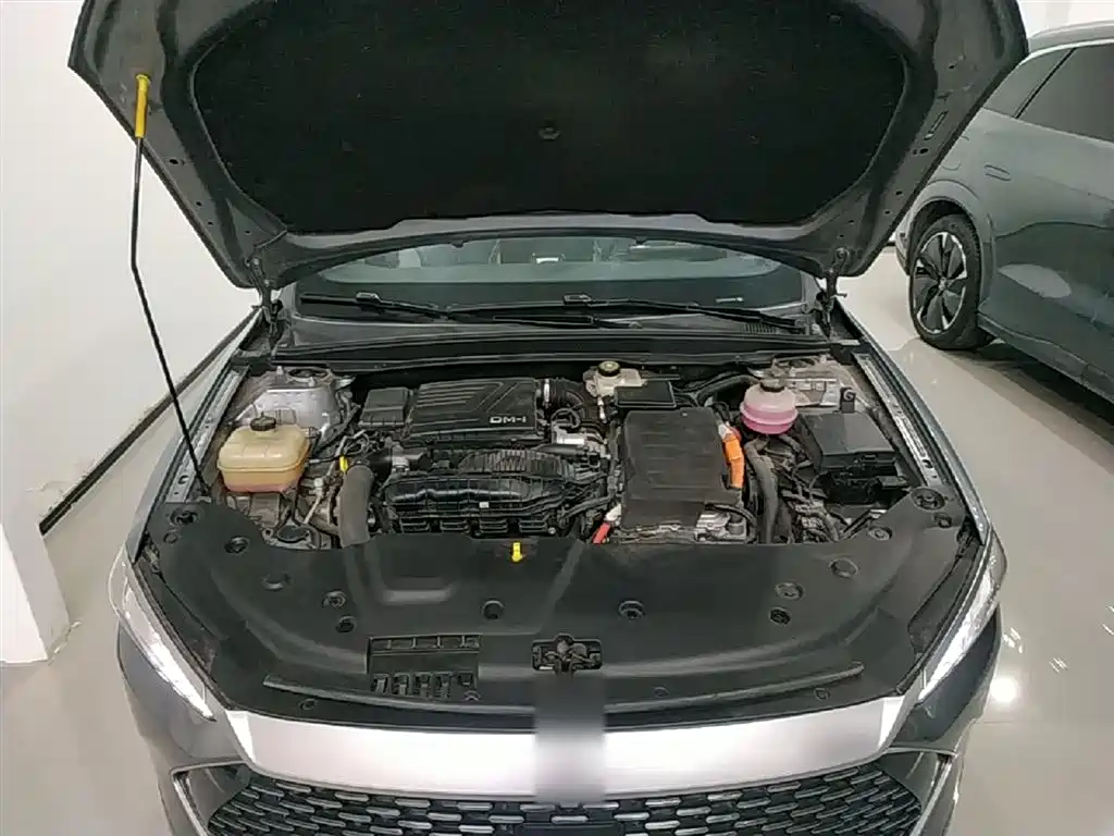 BYD Qin PLUS 2023 Champion Edition DM-i 120KM Excellence фото 20