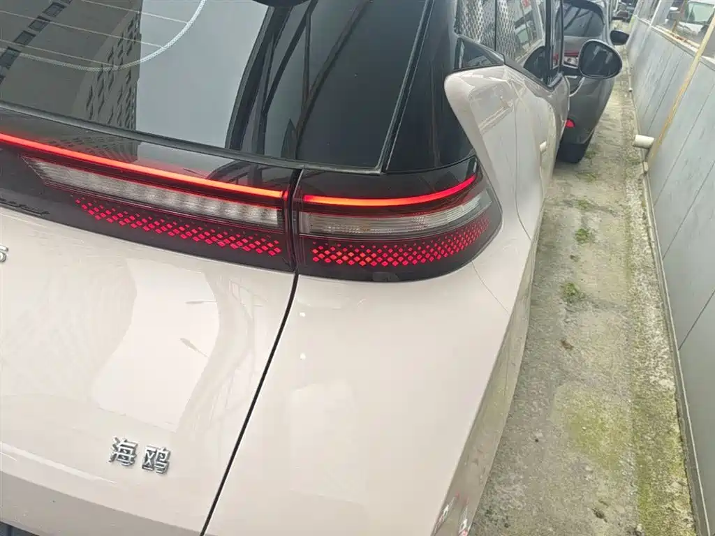BYD Seagull 2024 Glory Edition 305km Freedom Edition фото 8
