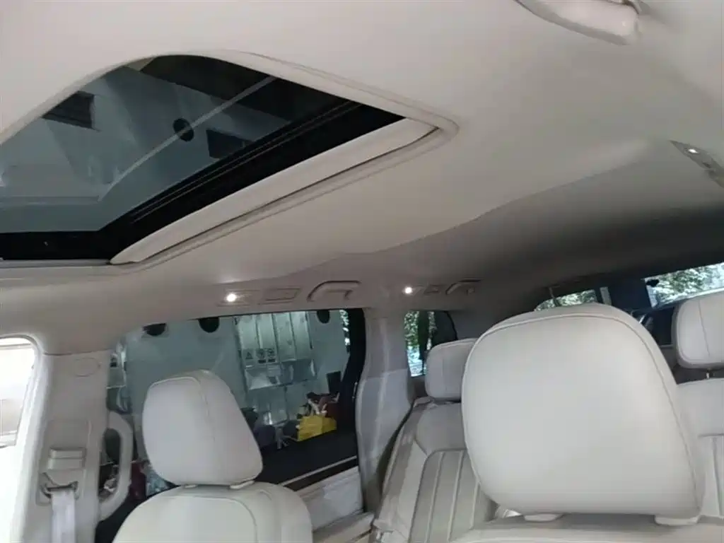 GAC Trumpchi Trumpchi M8 2018 320T Exclusive Edition фото 18