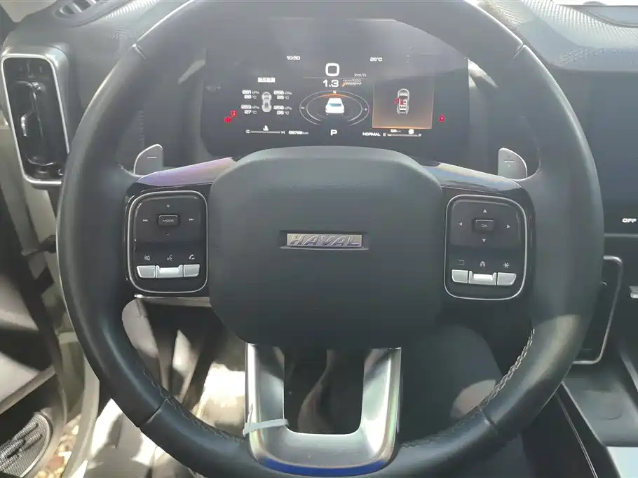 Haval Big Dog 2022 1.5T DCT FWD Labrador Edition фото 15