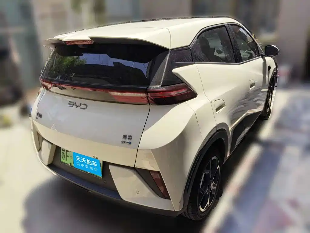 BYD Seagull 2026 2025 Smart Drive Edition 305km Freedom Version