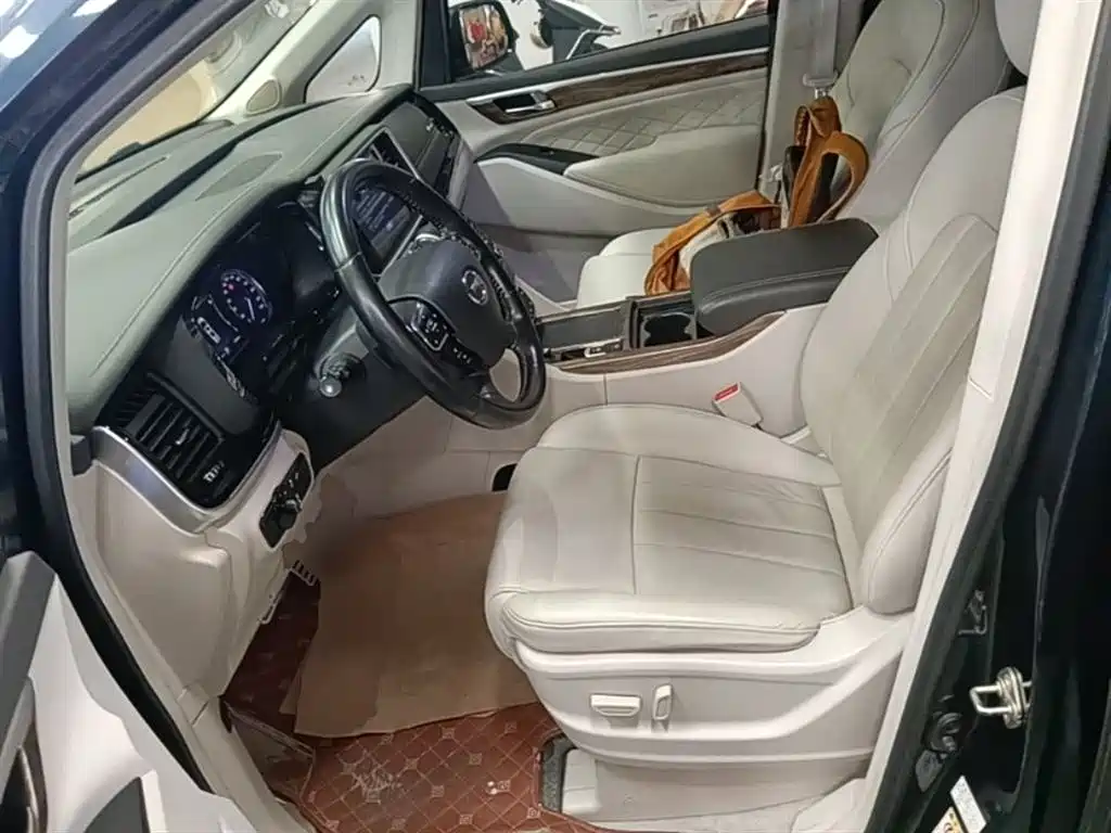 GAC Trumpchi Trumpchi M8 2018 320T Exclusive Edition фото 15