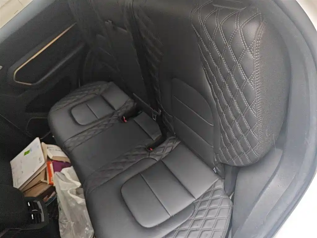 Haval H6 2020 1.5GDIT Automatic Platinum Champion Edition фото 15
