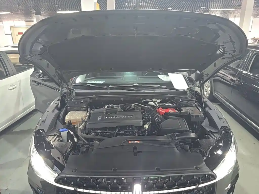 Photo 20 - Lincoln Z
