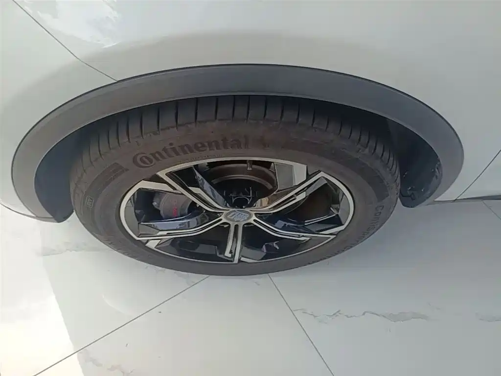 BYD Tang New Energy 2021 DM 2.0T AWD High Performance Premium фото 23