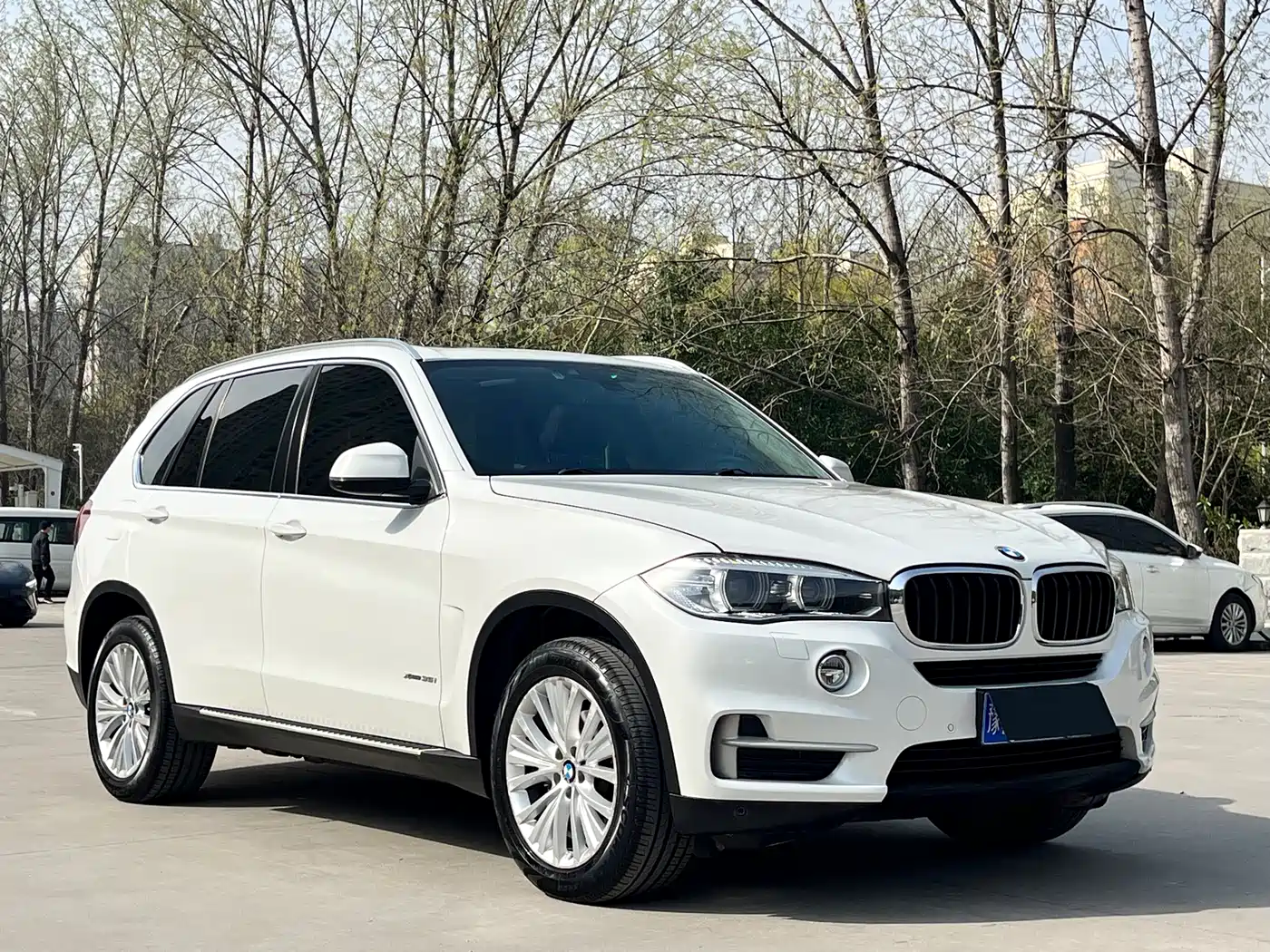 BMW X5 (Import) 2014 xDrive35i Leading фото 3