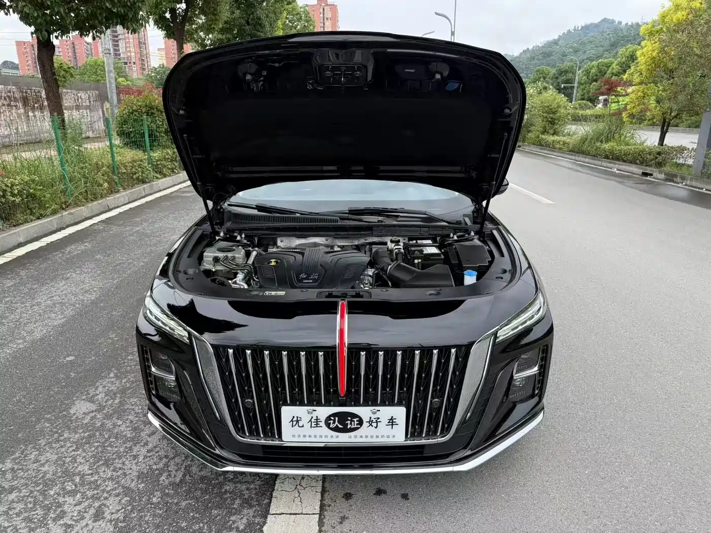 Hongqi H5 2024 2.0T Automatic Smart Connect Flag Enjoy Edition фото 8