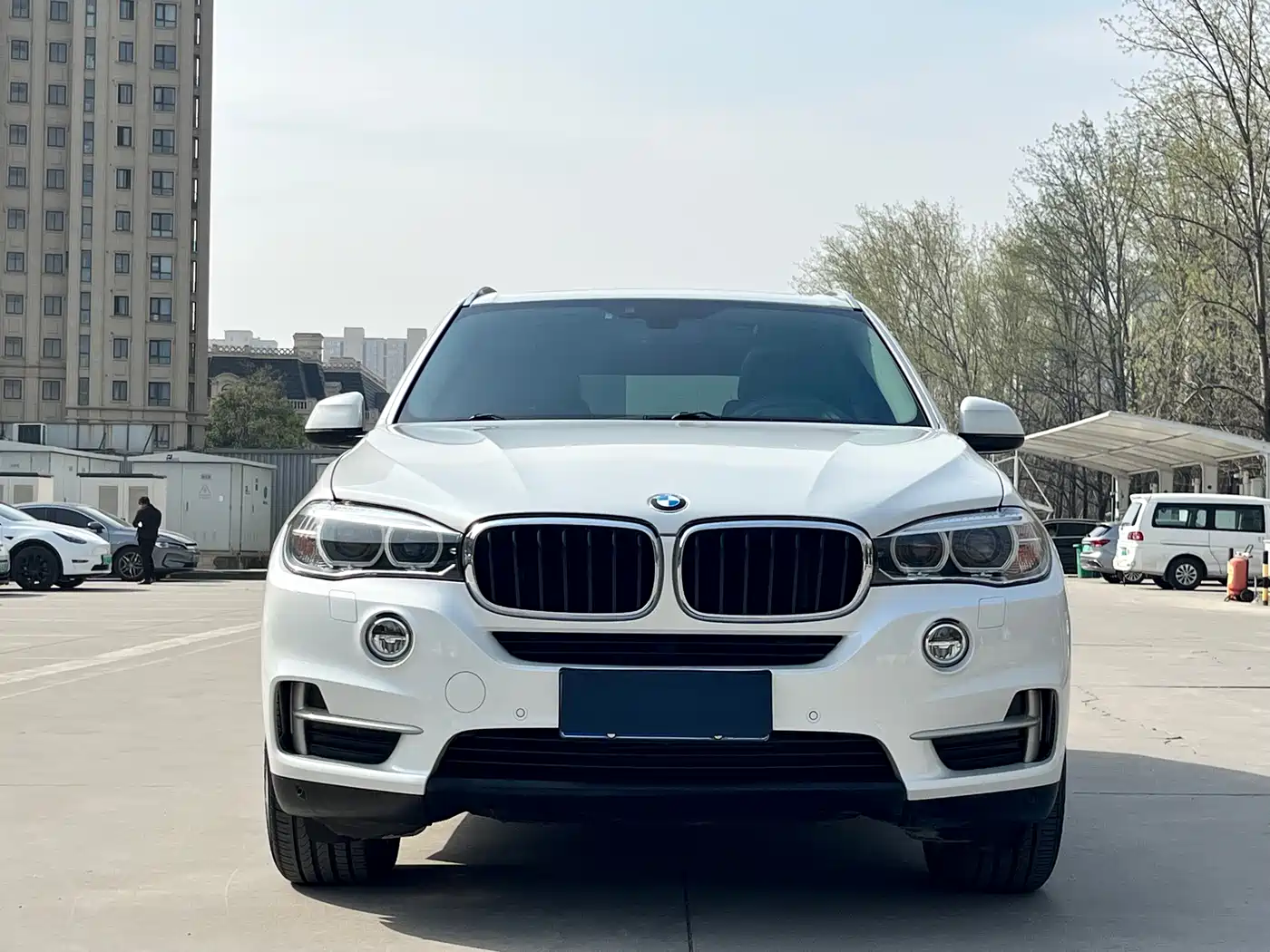 BMW X5 (Import) 2014 xDrive35i Leading фото 2