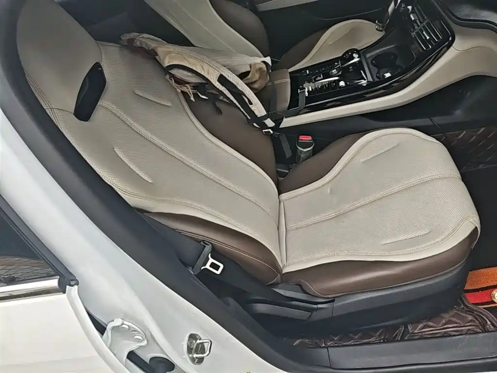 BYD Qin PLUS 2024 Glory Edition DM-i 55KM Leading фото 25