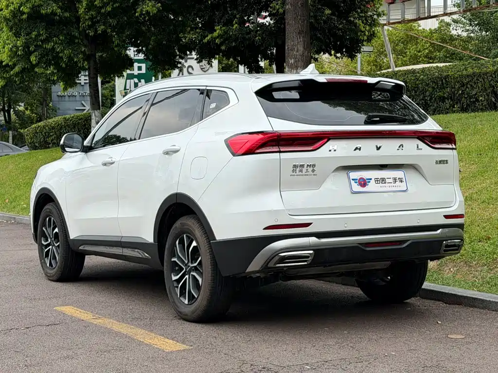 Haval H6 2025 2023 National Trend Edition 1.5T Automatic Urban