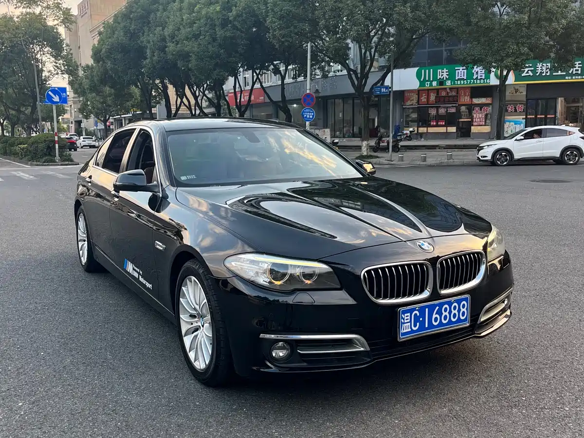 BMW 5 Series 2014 525Li Luxury Design Package фото 3