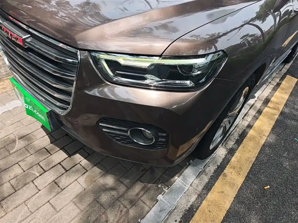 Haval H6 2017 Red Label 2.0T Automatic 2WD Premium фото 24
