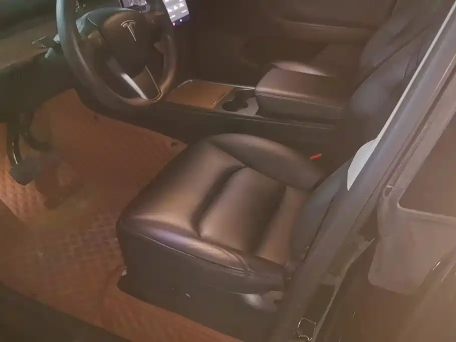 Tesla Model Y 2021 2021 Long Range All-Wheel Drive 3D7
