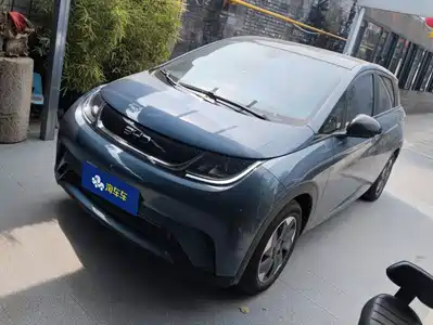 BYD Dolphin