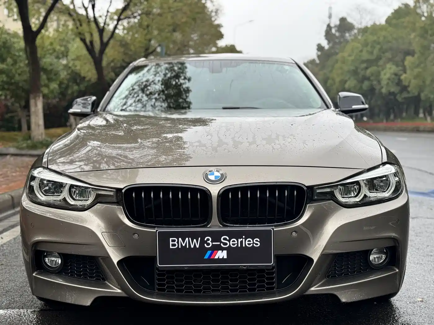 BMW 3 Series 2019 320Li M Sport Black Night Edition фото 2
