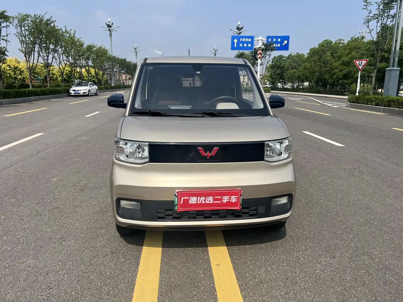 Wuling Motors Hongguang MINIEV 2020 Freedom Edition (LFP Battery)