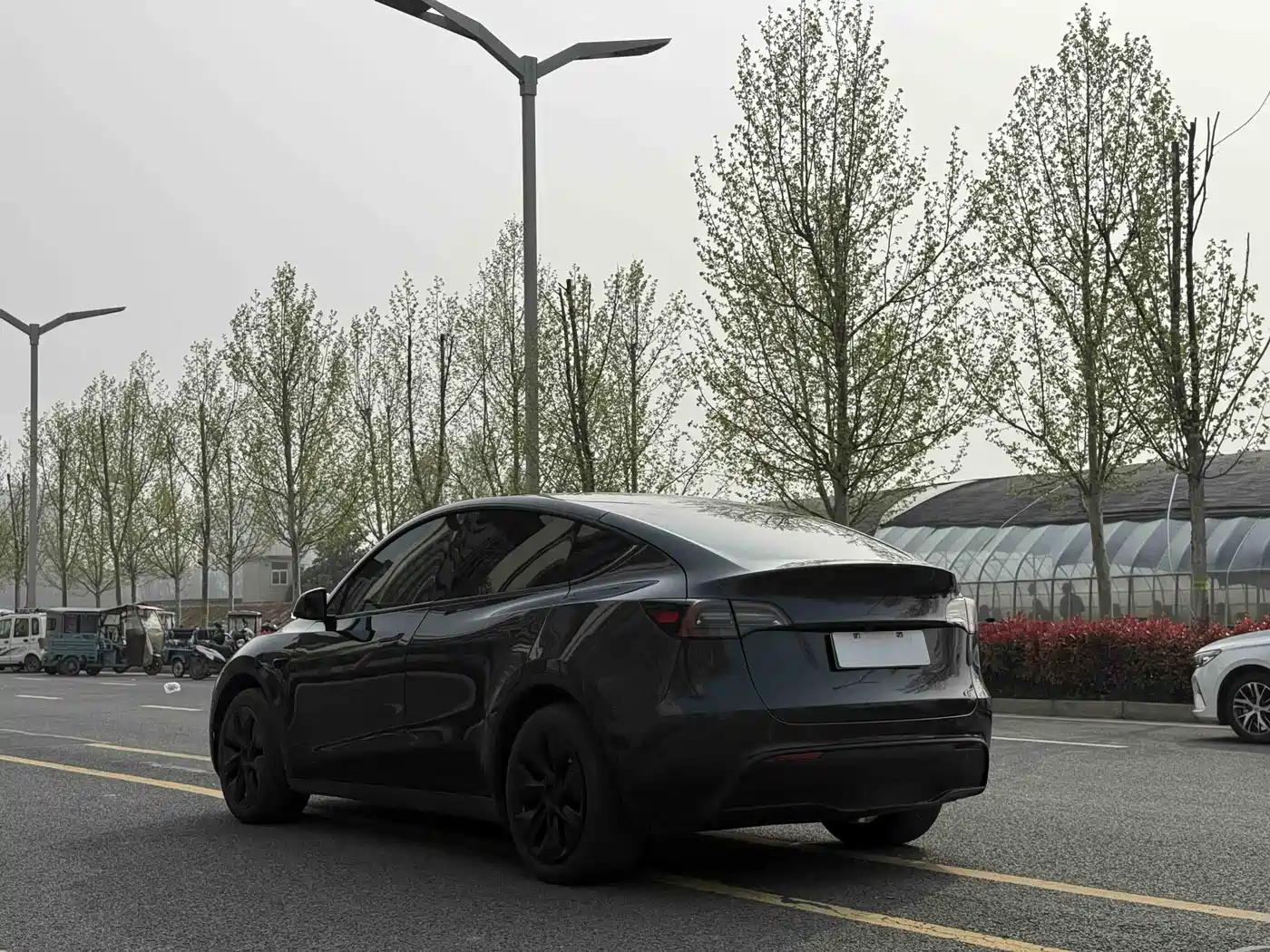 TESLA MODEL Y