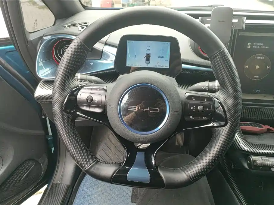BYD Dolphin 2021 401km Knight Edition фото 15