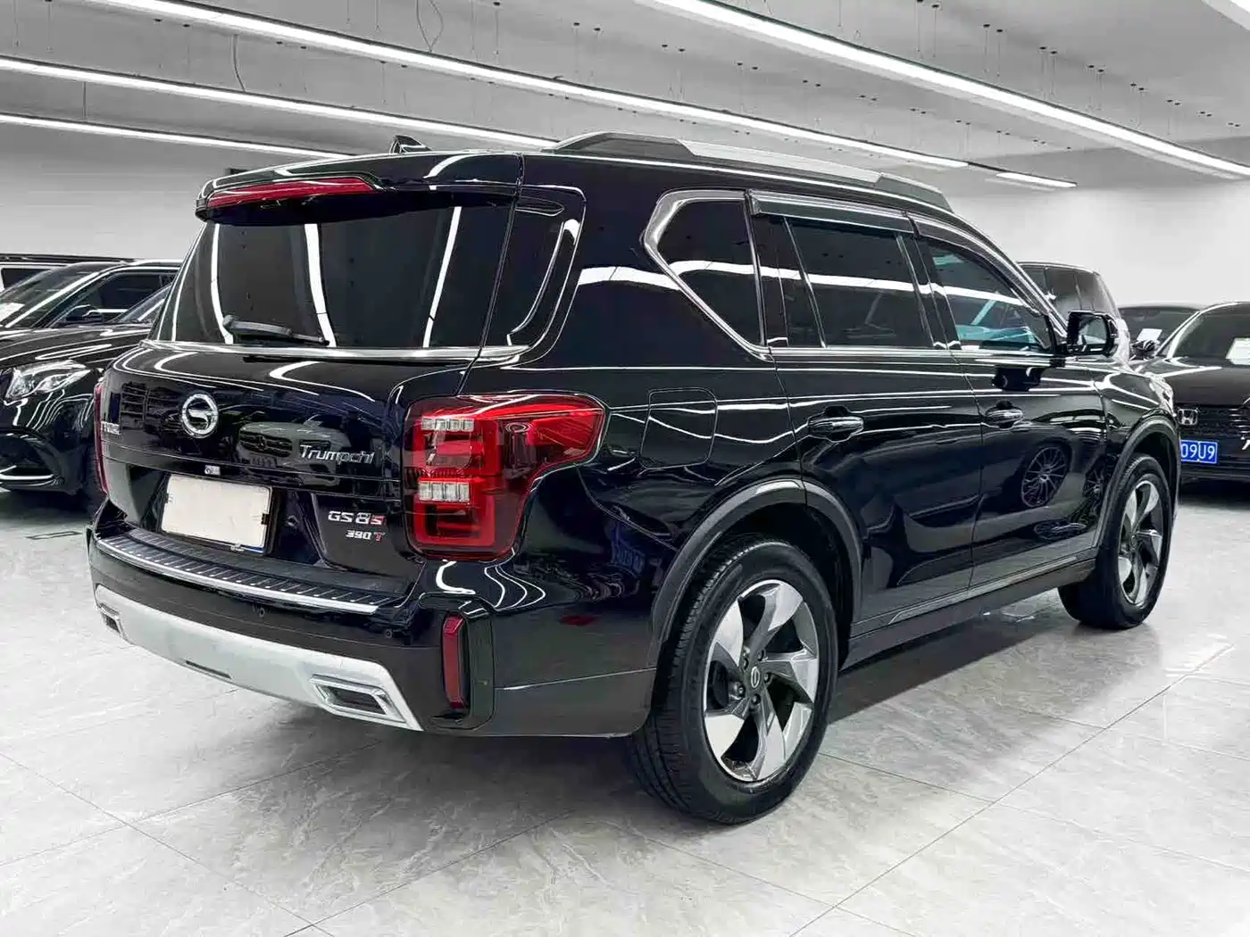 GAC Trumpchi Trumpchi GS8 2020 GS8S 390T 2WD Luxury Smart Connect Edition фото 6