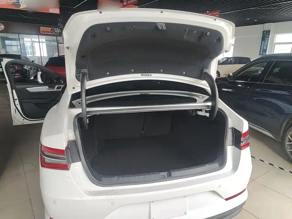BYD Qin Pro 2019 Super Edition 1.5TI Automatic Smart Connected Feng Shang Type China VI фото 19