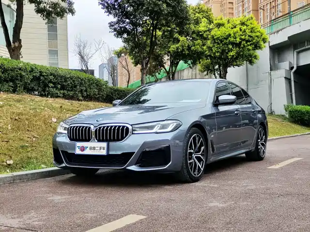 BMW 5 Series (Import) 2021