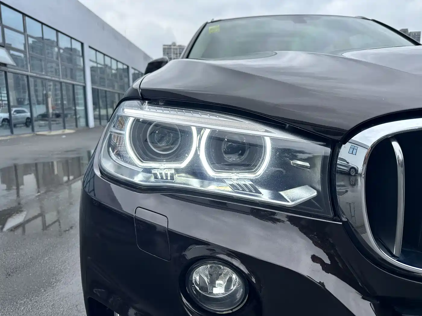 BMW X5 (Import) 2018 xDrive35i Elegant Model фото 16