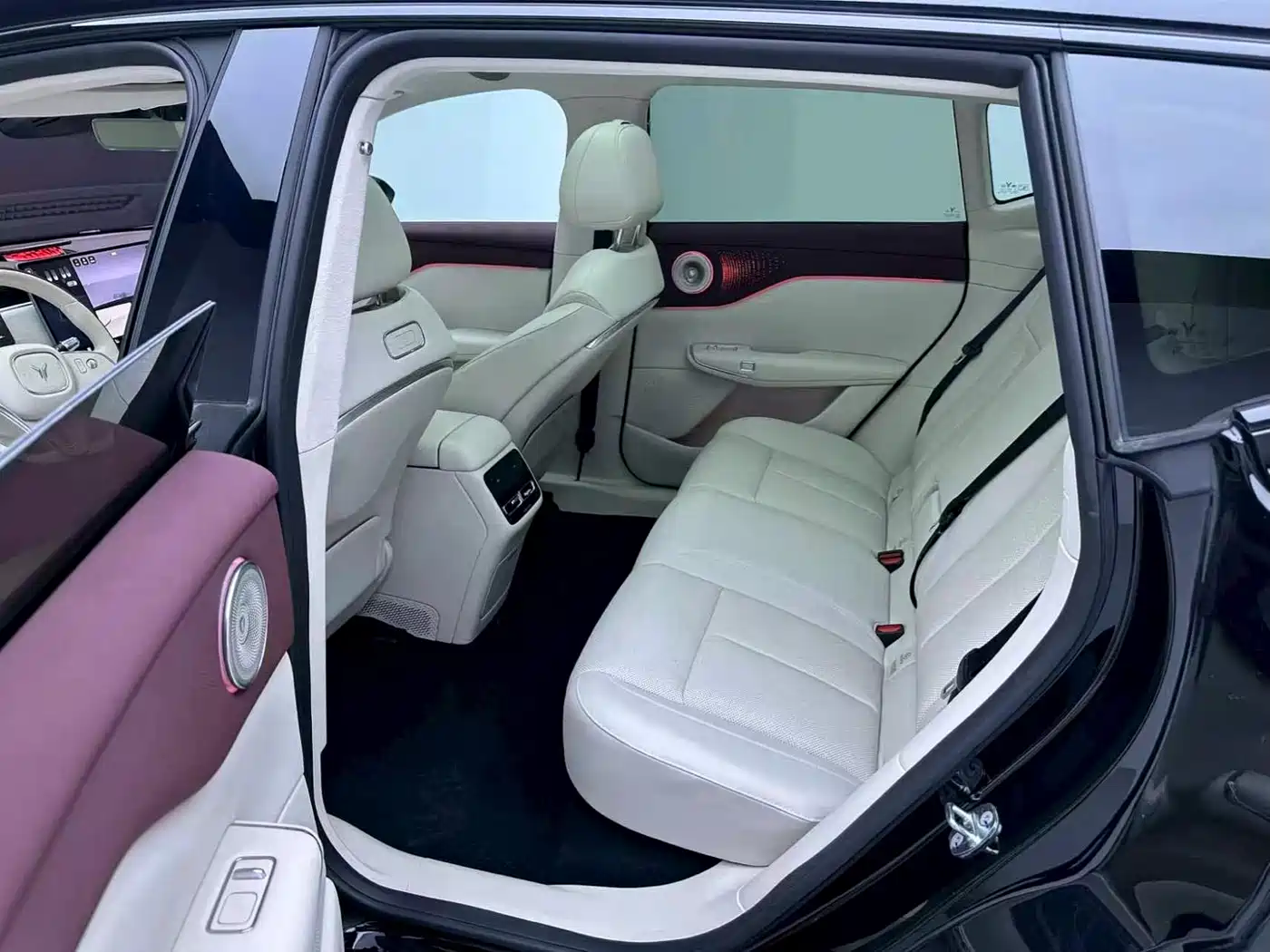 Voyah Auto Voyah Zhiyin 2025 Base фото 14