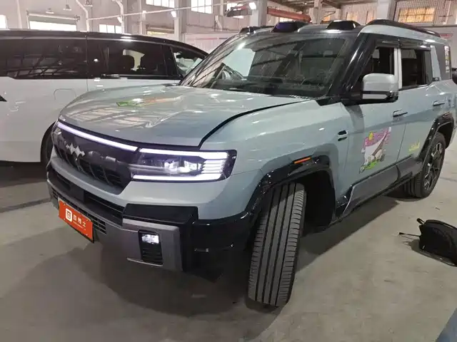 fang-cheng-bao leopard-8