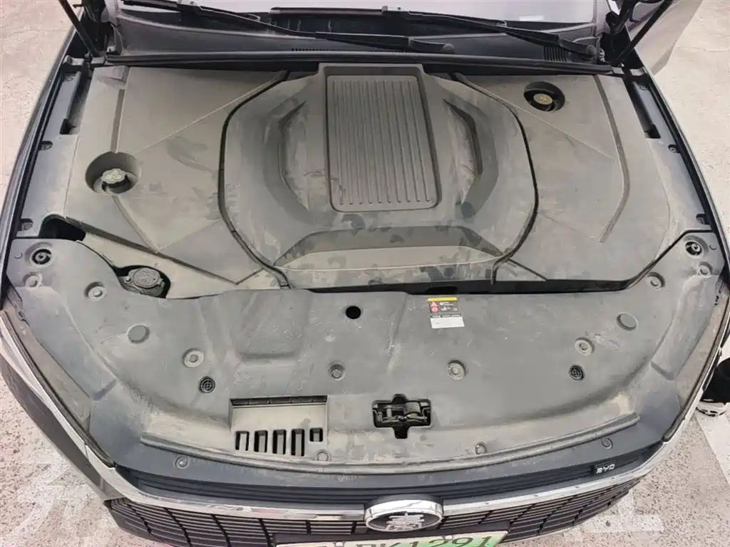BYD Qin Pro New Energy 2019 EV Super Edition High-power Smart Connection Premium фото 11