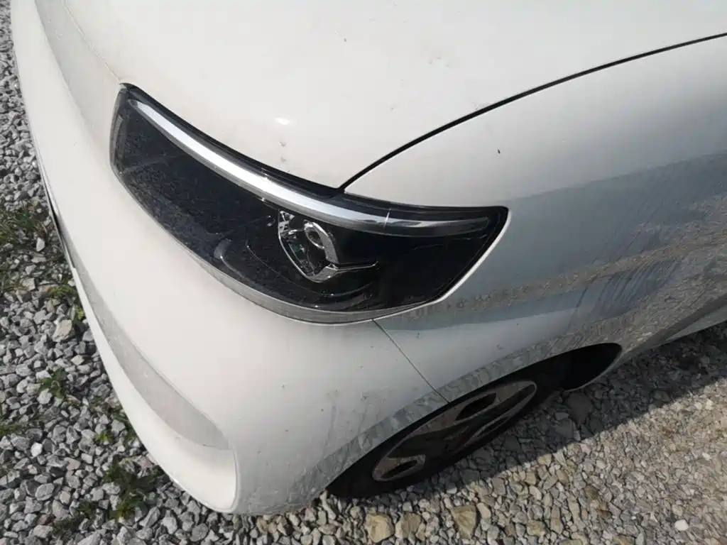 Wuling Motors Wuling Zhiguang NEV 2026 2025 Model 305km Base Version