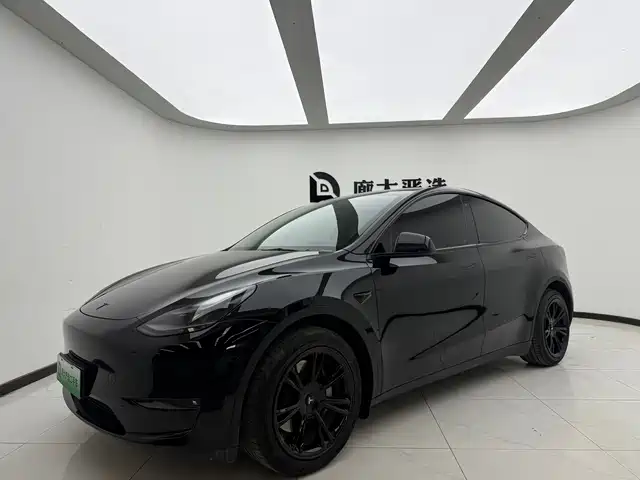 Tesla Model Y 2021 Standard Range Rear-Wheel Drive