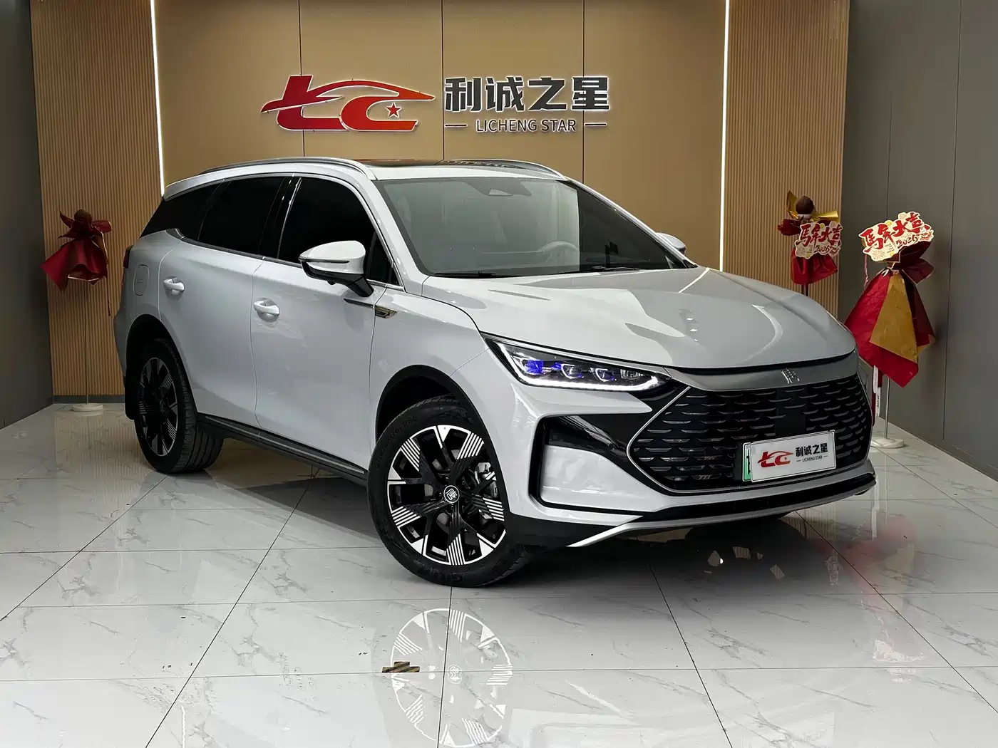 BYD Tang New Energy 2024 Model DM-i Glory Edition 112KM Flagship Type фото 3