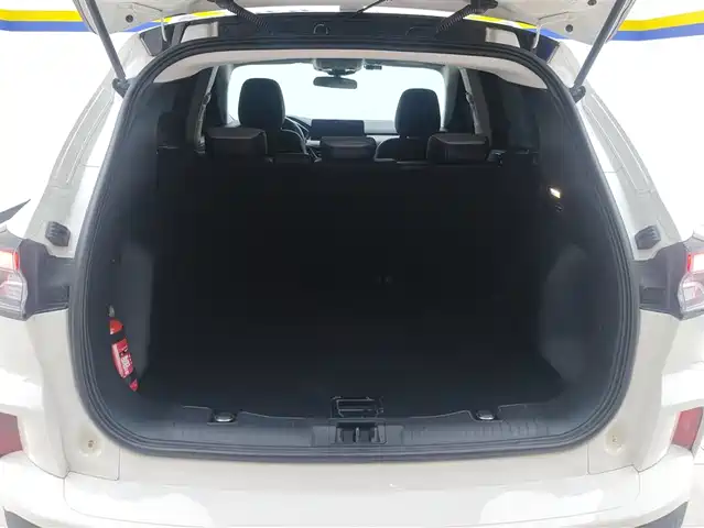 Ford Escape 2020 EcoBoost 245 2WD Premium Edition — фото 4
