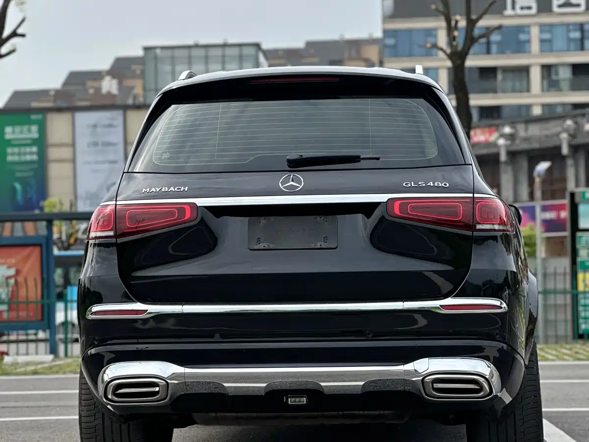 Mercedes-Benz GLS 2023 GLS 450 4MATIC Fashion Edition фото 3