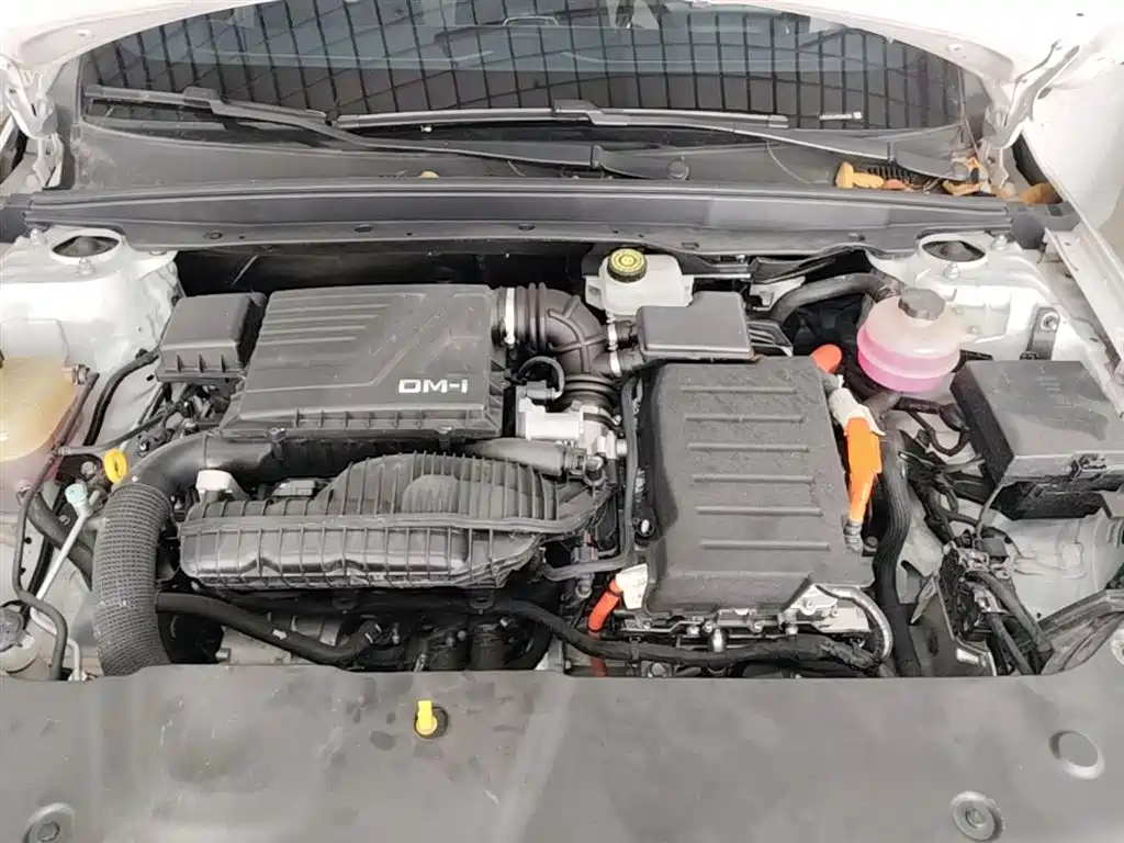 BYD Qin PLUS 2023 Champion Edition DM-i 55KM Leading фото 20
