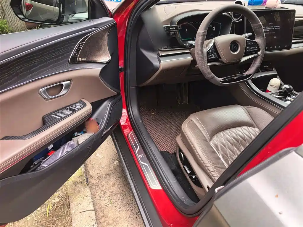 BYD Han 2020 EV AWD High-Performance Flagship фото 14