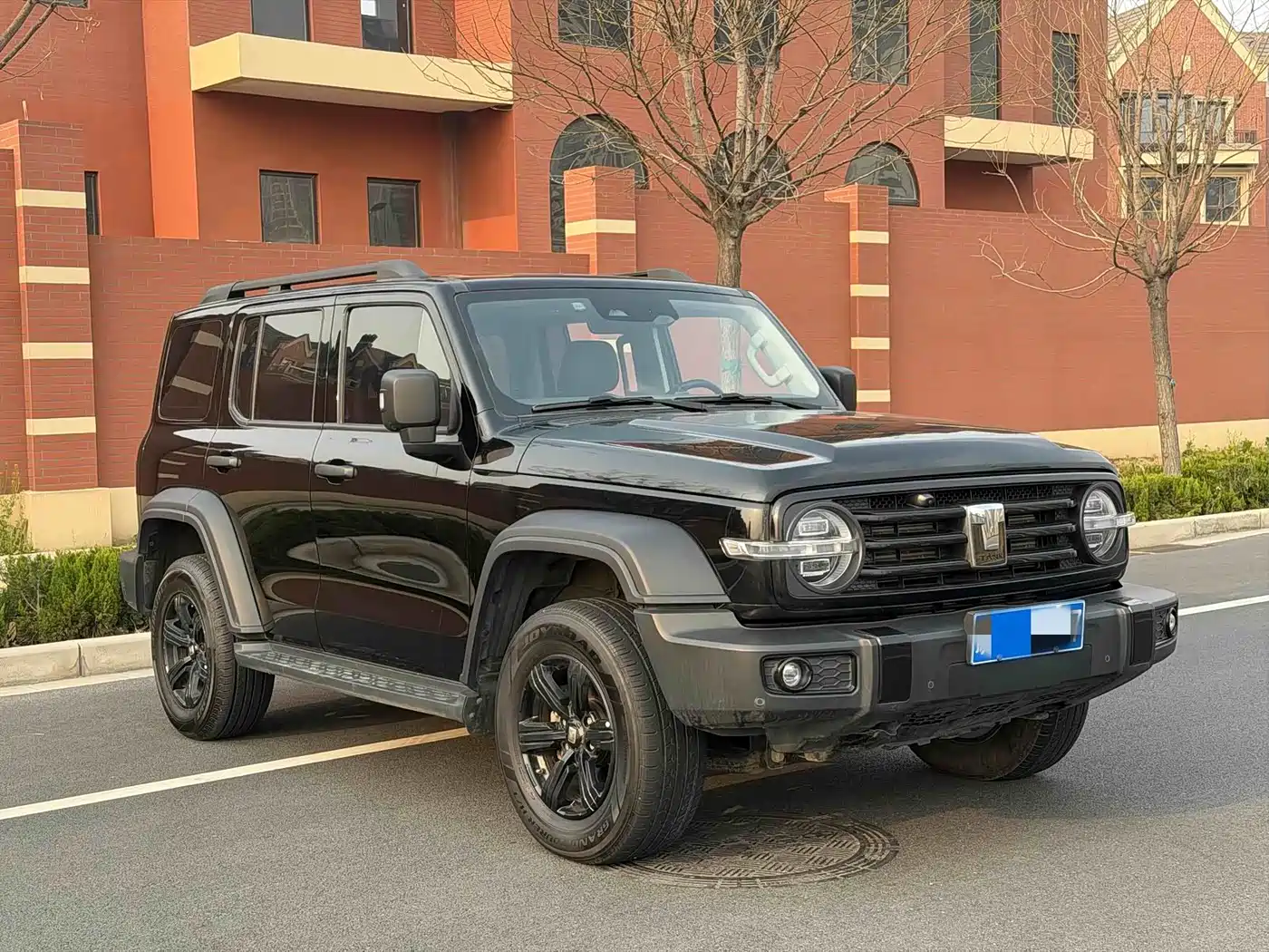 Tank 300 2021 Off-road Version 2.0T Conqueror фото 10