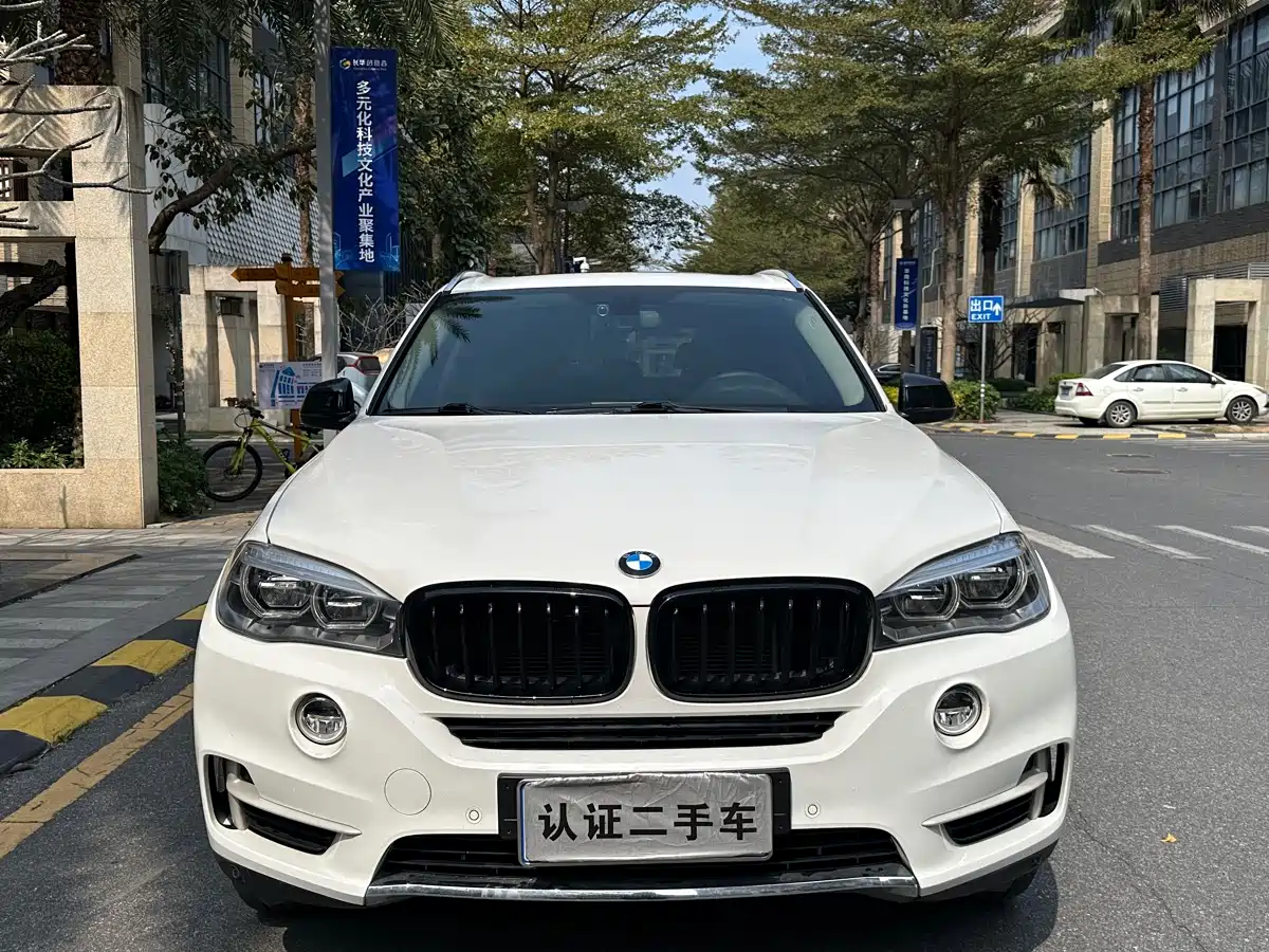 BMW X5 (Import) 2018 xDrive35i Elegant Model фото 2
