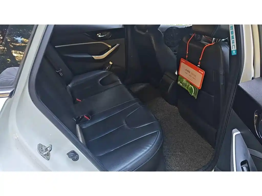 Venucia D60EV 2020 2019 Long-Range Travel Edition